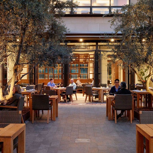 Salad ready for consumption